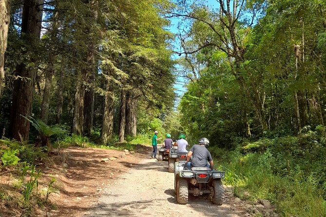 Quadricycle Tour to the Hills with Off Road 15km - 01 person - Key Points at a Glance