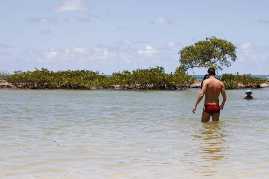 Recife: Carneiros Beach Day Tour - Why Carneiros makes a strong beach day