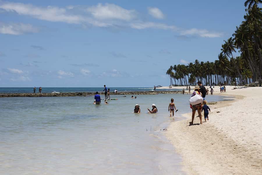 Recife: Carneiros Beach Day Tour - White sand, coconut trees, and calm swimming