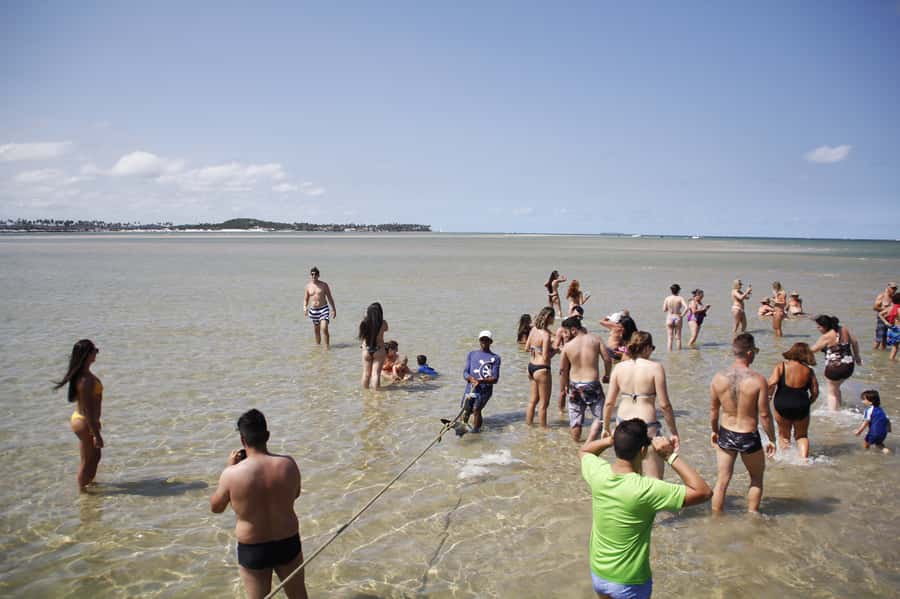 Recife: Carneiros Beach Day Tour - Practical advice before you go