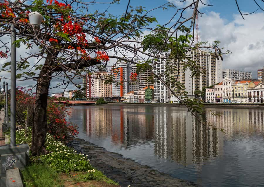 Recife: City Tour Recife & Olinda - Seven hours, hotel pickup, and the timing concerns