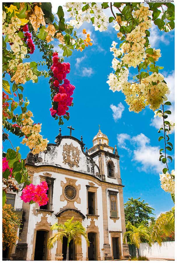 Recife & Olinda City Tour: Unveiling the Charm of Two Cities - Recife’s three central sectors