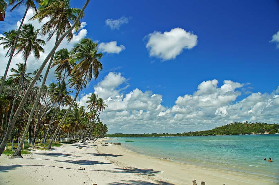 Recife: Tour to Carneiros with Catamaran Ride - Why Carneiros makes a good day outside Recife