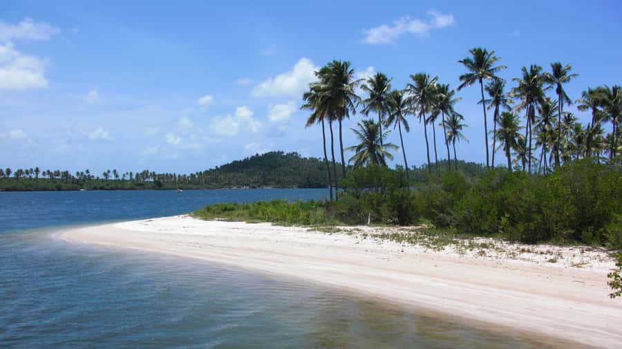 Recife: Tour to Carneiros with Catamaran Ride - The hotel pickup and the road south