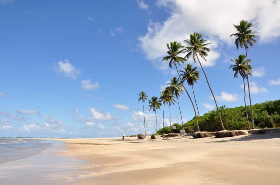 Recife: Tour to Porto de Galinhas - Key points to know