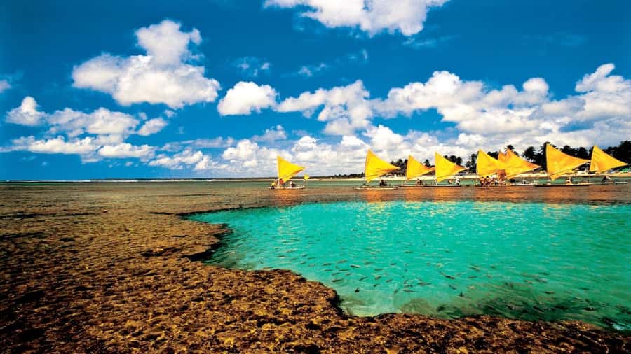 Recife: Tour to Porto de Galinhas - From Recife to Porto de Galinhas by van