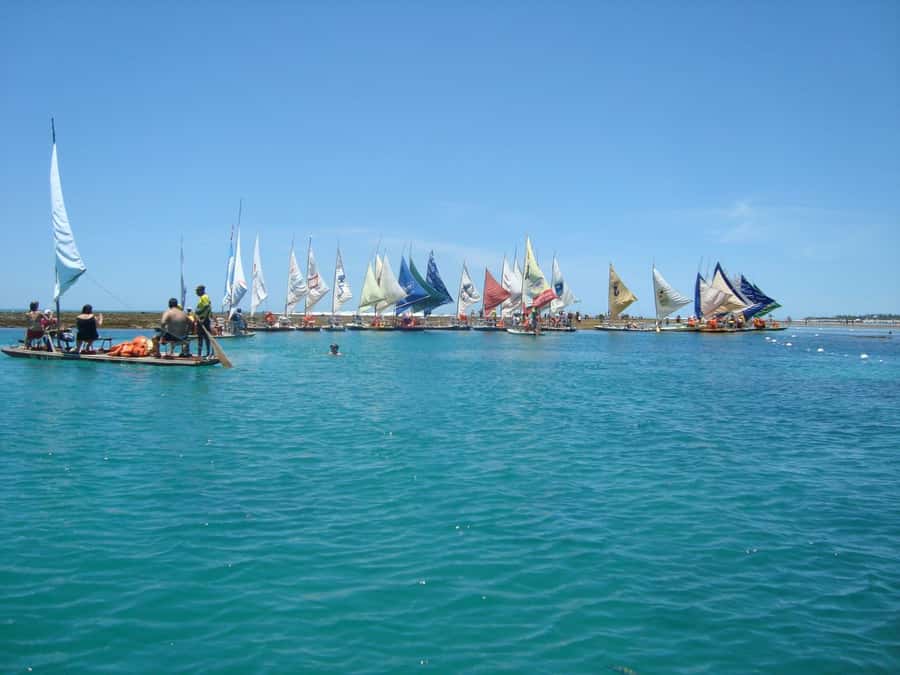 Recife: Tour to Porto de Galinhas - The guide language needs careful attention