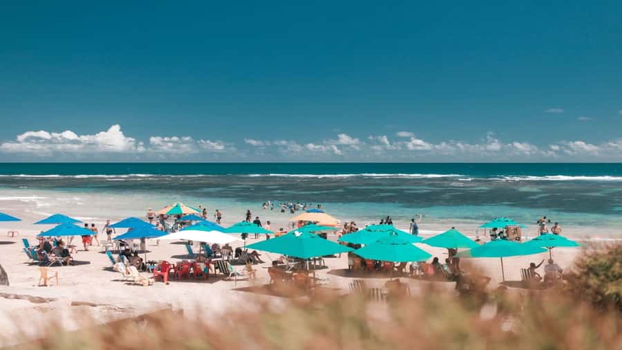 Recife: Tour to Porto de Galinhas - What the return trip means for your day