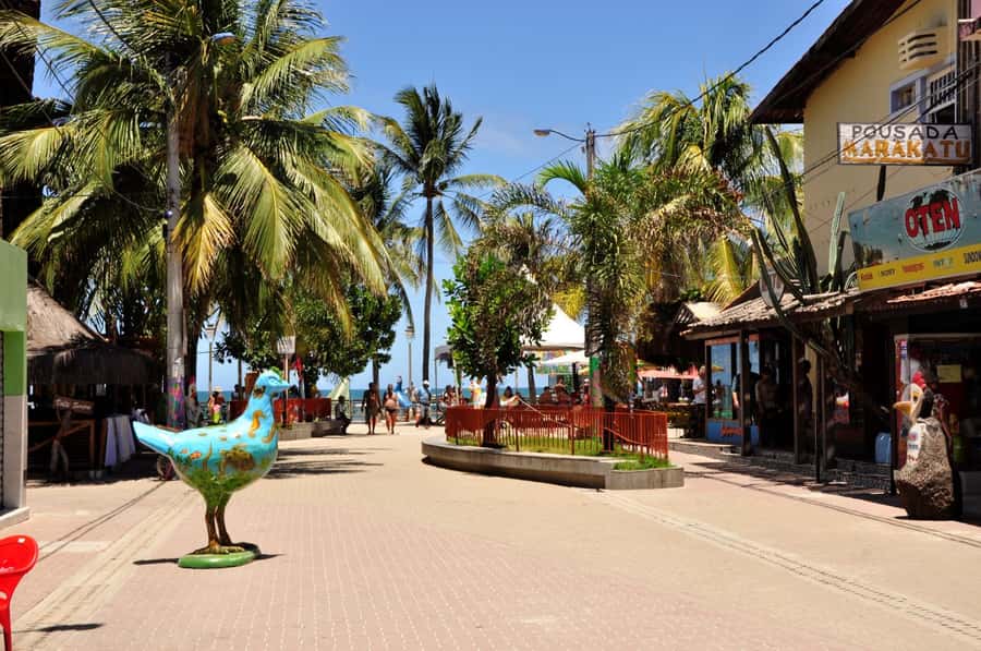 Recife: Tour to Porto de Galinhas - Should you book the Recife to Porto de Galinhas tour?