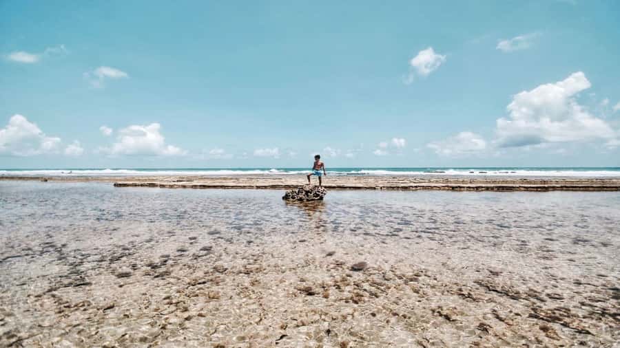 Recife: Tour to Porto de Galinhas - Four hours in Porto de Galinhas