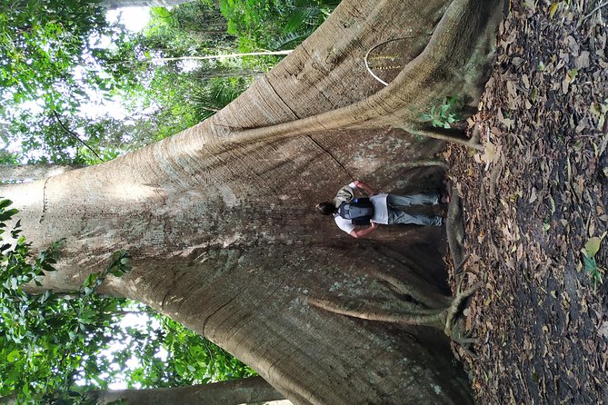 Regional Cruise in the Amazon - Why this Amazon trip feels different