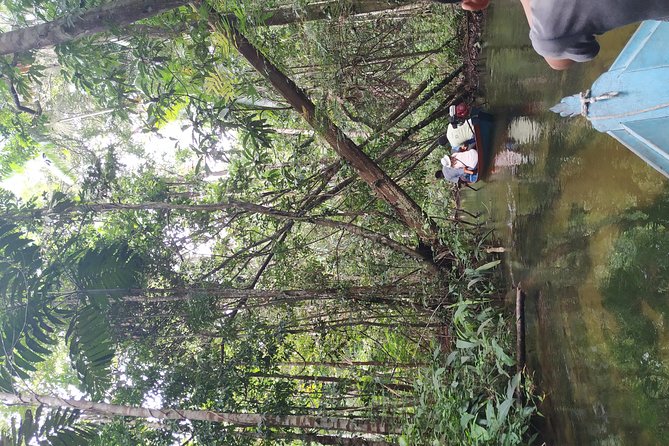 Regional Cruise in the Amazon - Boat comfort, group size, and the daily rhythm