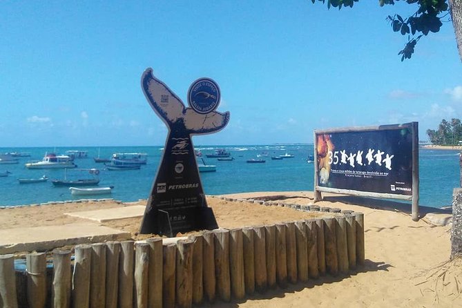 Regular Tour to Forte Beach - Leaving Salvador by Bahia Top Turismo - The trip to Praia do Forte