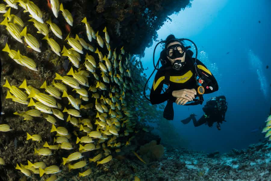 Rio: Best Dive Experience All Inclusive Scuba Diving Package - Arrival, briefing, and equipment setup