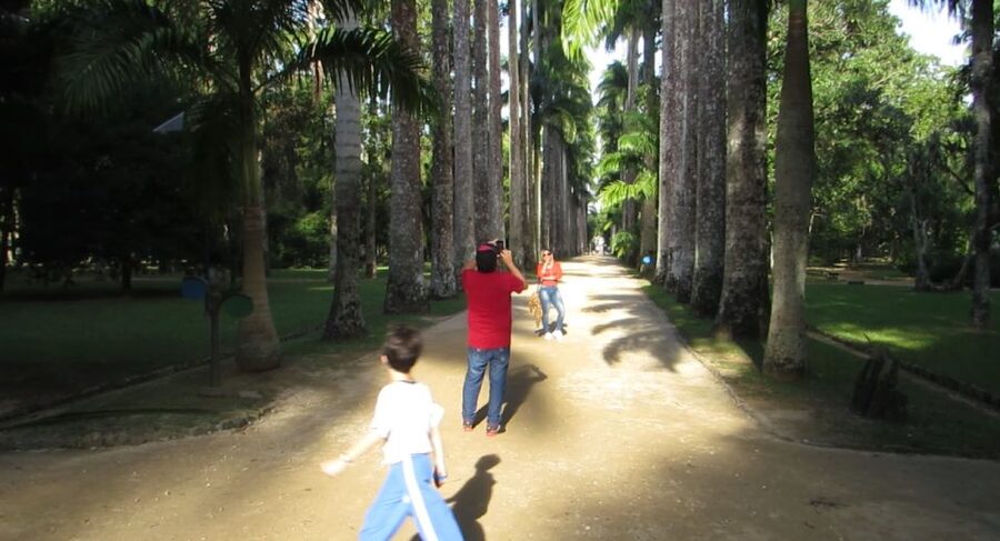 Rio: Botanical Garden, Tijuca Forest, and Parque Lage Tour - A closer look at Rio’s Botanical Garden