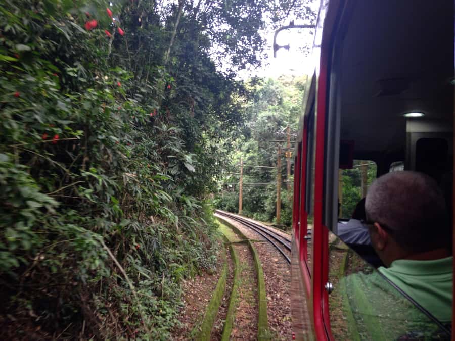 Rio: Christ The Redeemer Half Day Tour With Pick up - Who should choose this Corcovado tour