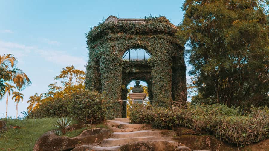 Rio de Janeiro: 4-Hour Botanical Garden & Tijuca Forest Tour - Key points at a glance