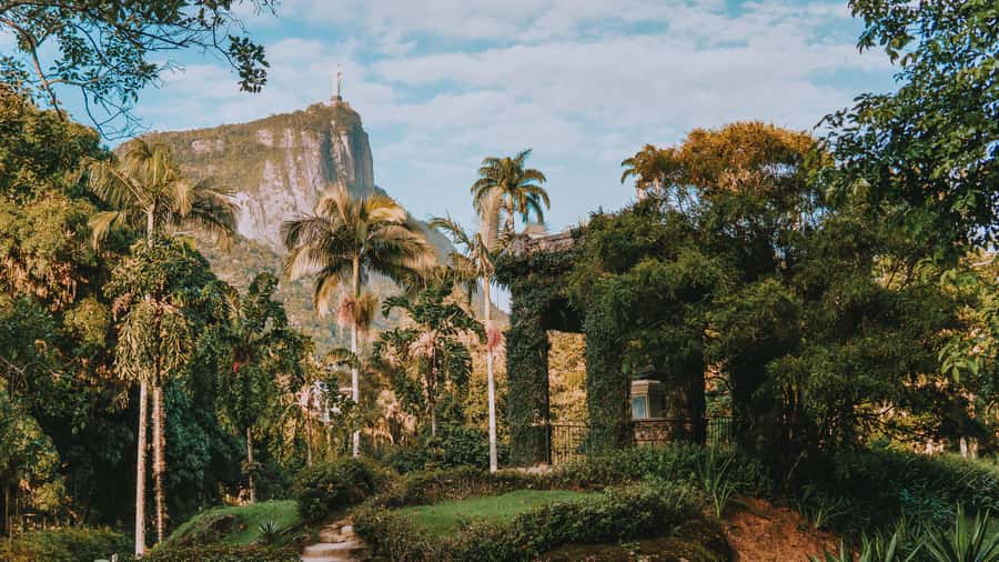 Rio de Janeiro: 4-Hour Botanical Garden & Tijuca Forest Tour - Why this four-hour nature tour works in Rio