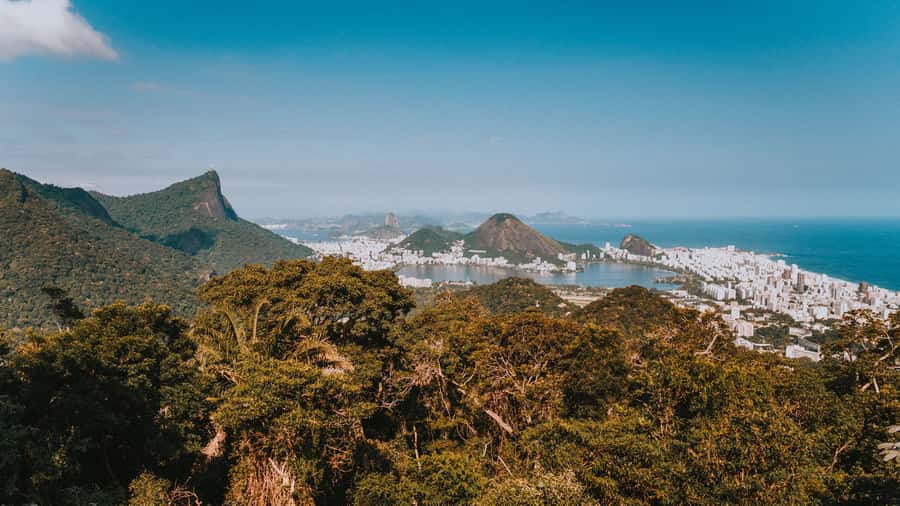 Rio de Janeiro: 4-Hour Botanical Garden & Tijuca Forest Tour - Vista Chinesa and Rio from 388 meters