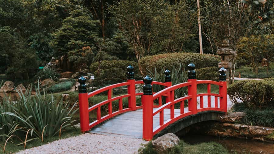 Rio de Janeiro: 4-Hour Botanical Garden & Tijuca Forest Tour - Guides make the biggest difference