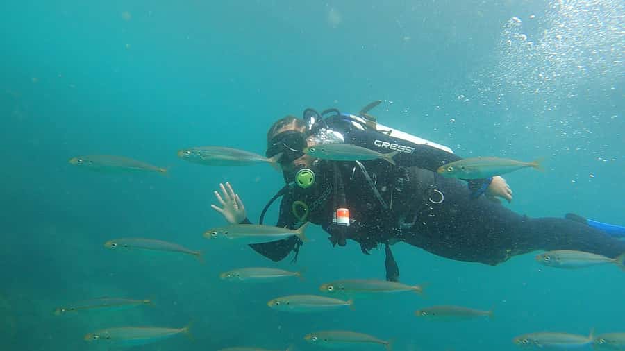 Rio de Janeiro: Arraial do Cabo Scuba Diving Day Trip - Should you book the Arraial do Cabo trip?