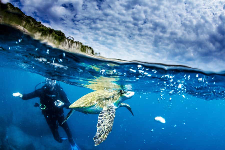 Rio de Janeiro: Arraial do Cabo Scuba Diving Day Trip - What the three-hour ocean session feels like