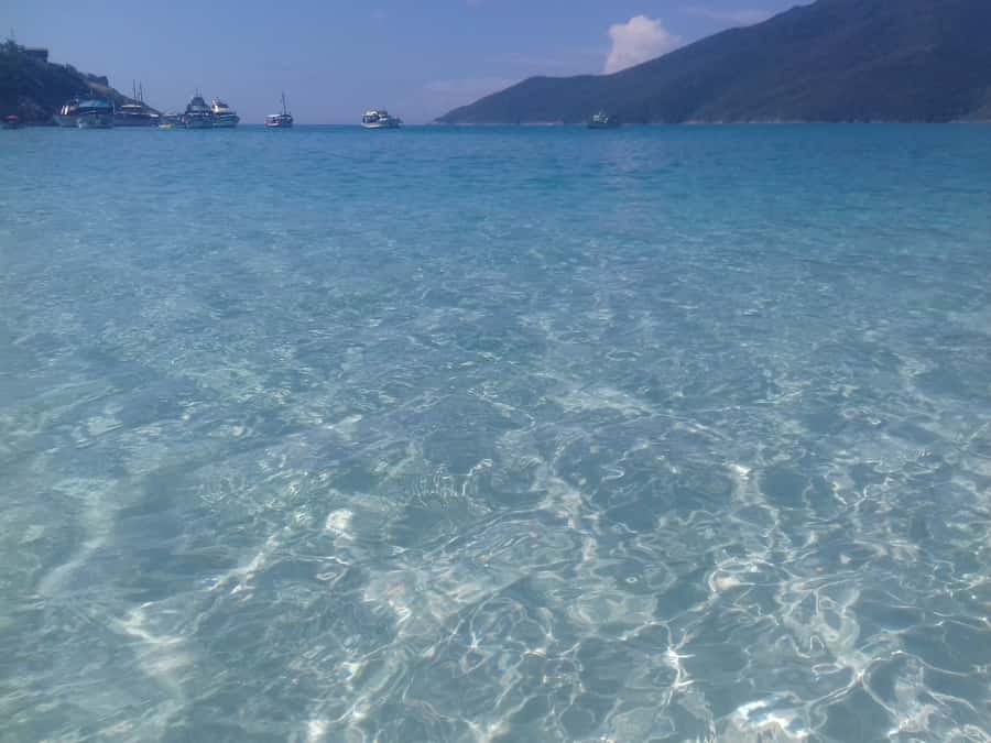 Rio de Janeiro: Arraial do Cabo Scuba Diving Day Trip - A cool-water outing, not a warm tropical swim