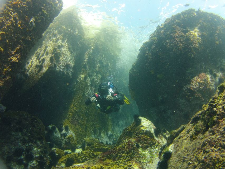 Rio de Janeiro: Arraial do Cabo Scuba Diving Day Trip - Who will get the most from this trip