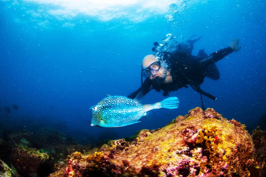 Rio de Janeiro: Arraial do Cabo Scuba Diving Day Trip - The early pickup and 2.5-hour road journey