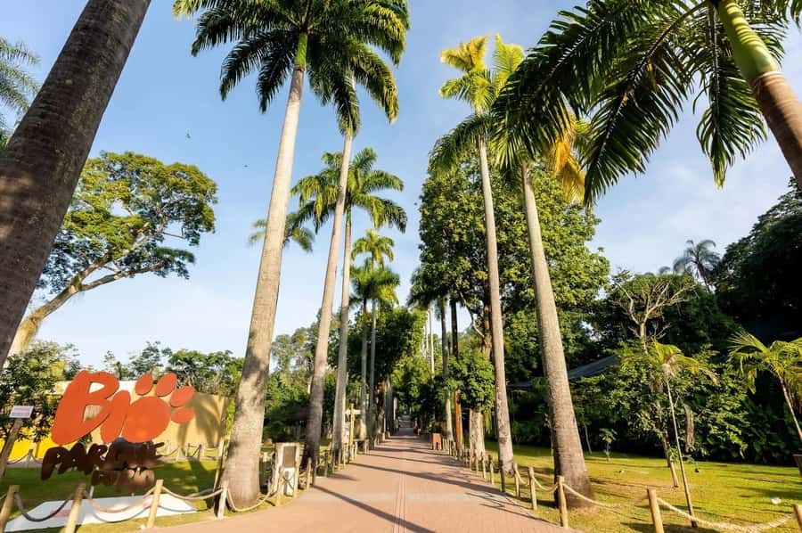 Rio de Janeiro: BioParque Guided Tour with Transfer - Access and practical preparation