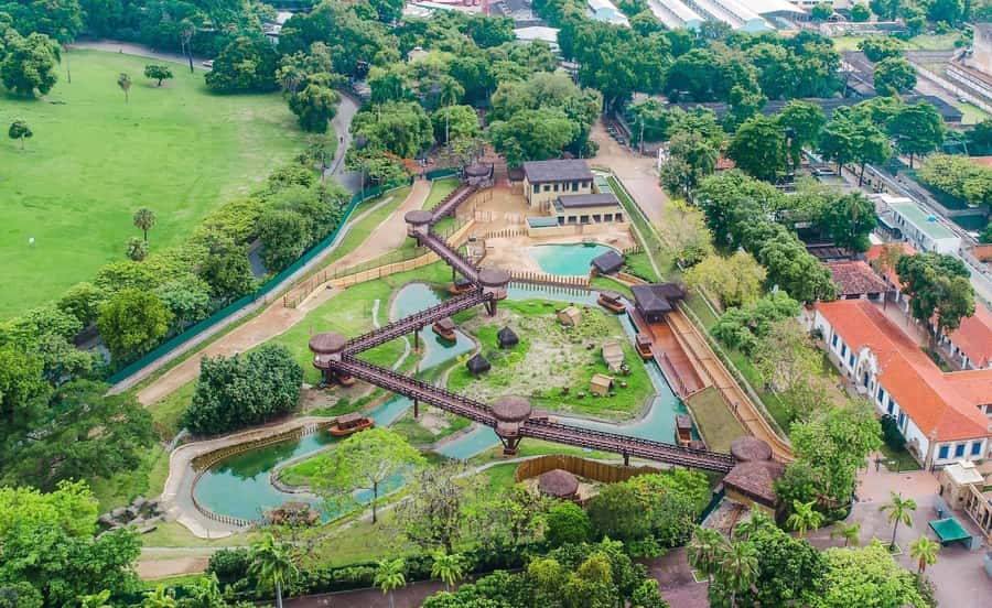 Rio de Janeiro: BioParque Guided Tour with Transfer - Should you book the BioParque tour?