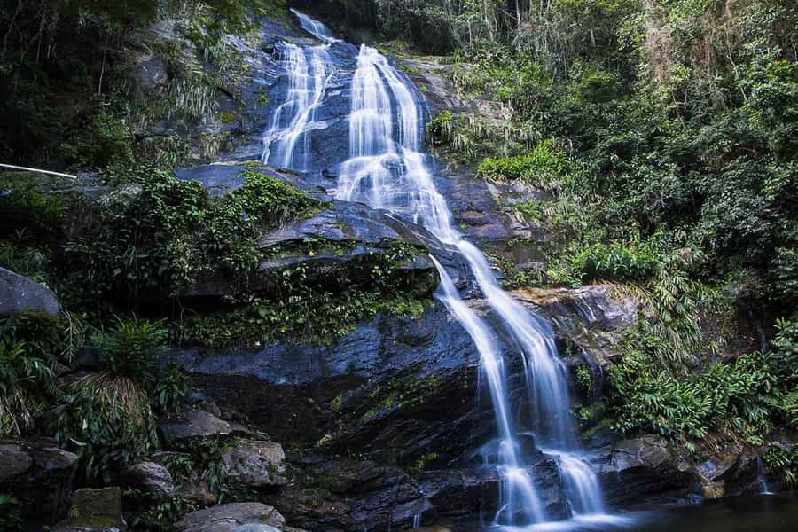 Rio de Janeiro: Botanical Garden & Tijuca Forest Guided Tour - Waterfalls, viewpoints, and the Chinese View