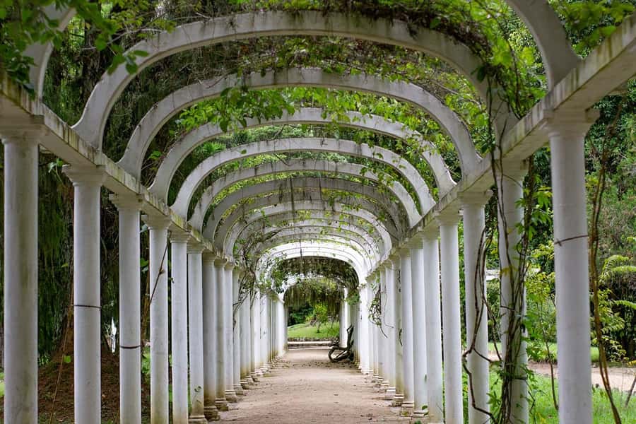 Rio de Janeiro: Botanical Garden & Tijuca Forest Guided Tour - A quieter walk through the Botanical Garden