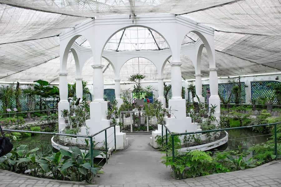 Rio de Janeiro: Botanical Garden & Tijuca Forest Guided Tour - Booking details that affect your decision
