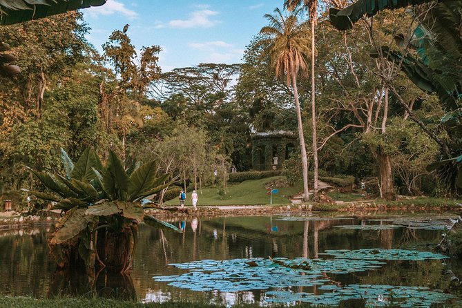 Rio de Janeiro Botanical Garden & Tijuca Forest Tour - Vista Chinesa and the changing viewpoint plan