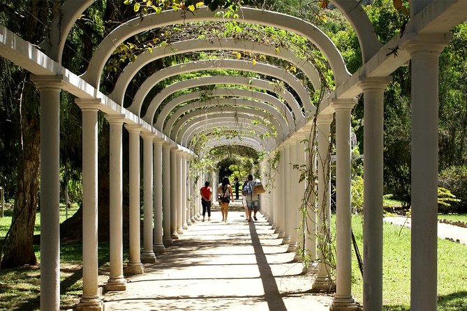 Rio de Janeiro Botanical Garden Tour - Why Rio’s Botanical Garden is worth your morning