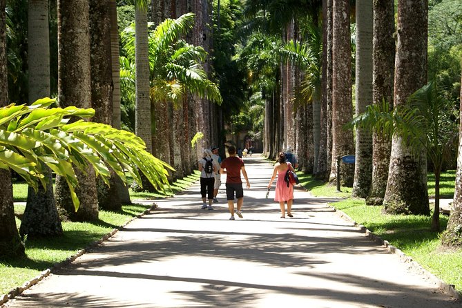 Rio de Janeiro Botanical Garden Tour - Free time after the 90-minute guided walk