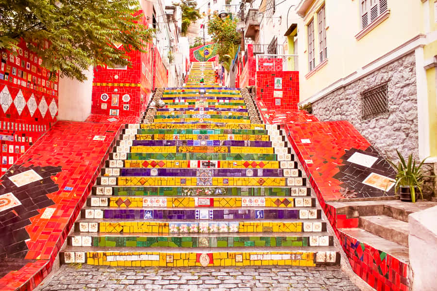 Rio de Janeiro: Christ, Selaron Steps, and Tijuca Park Tour - Key points to know before booking