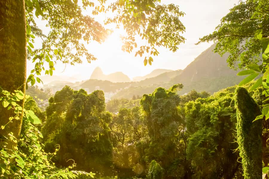 Rio de Janeiro: Christ, Selaron Steps, and Tijuca Park Tour - Lunch is simple, local, and extra