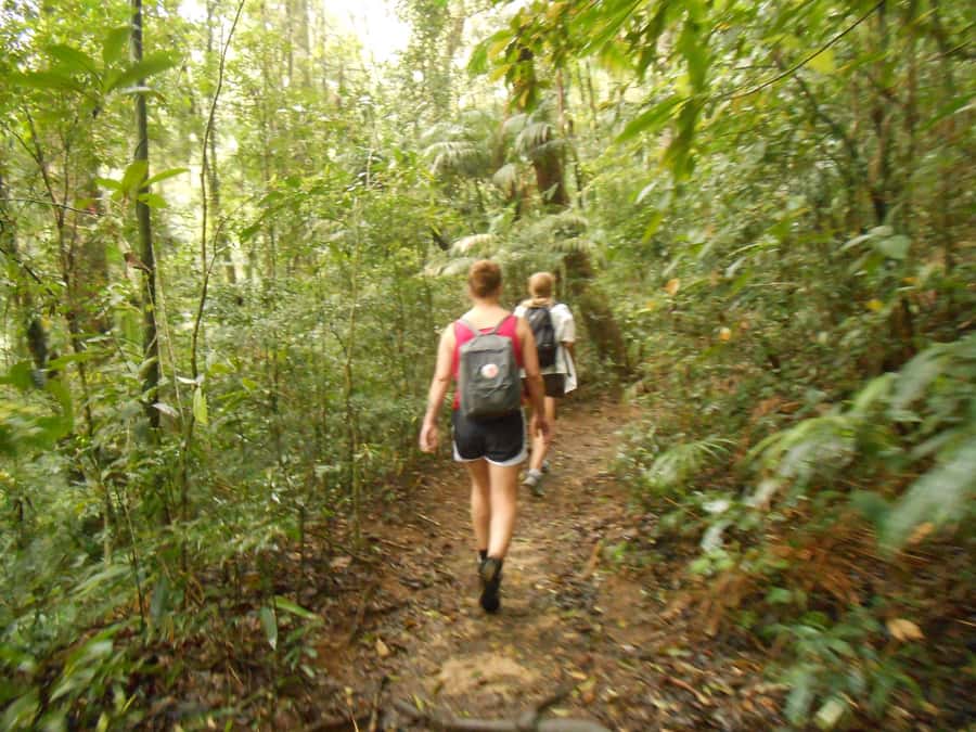 Rio de Janeiro: Christ the Redeemer Guided Hike - What the $81 price really includes