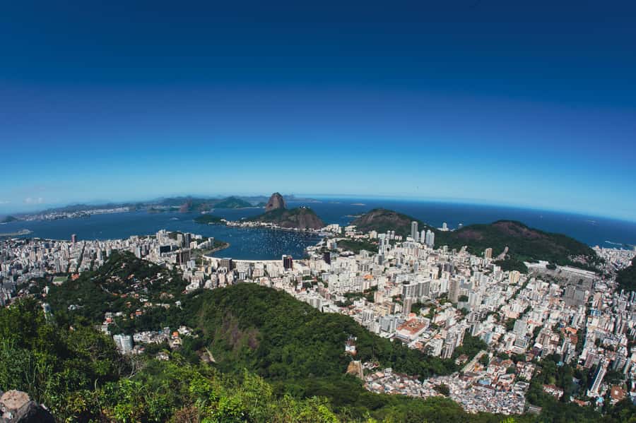 Rio de Janeiro: Christ the Redeemer, Sugarloaf, & City-tour - Morning pickup and the climb through Tijuca Forest