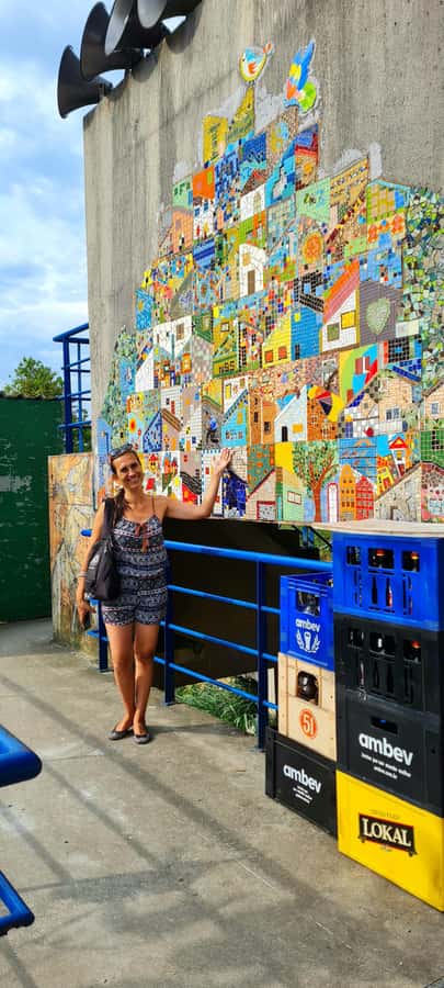 Rio de Janeiro: Favela Santa Marta Tour with Resident Guide - R. da Paciência and the streets of Santa Marta