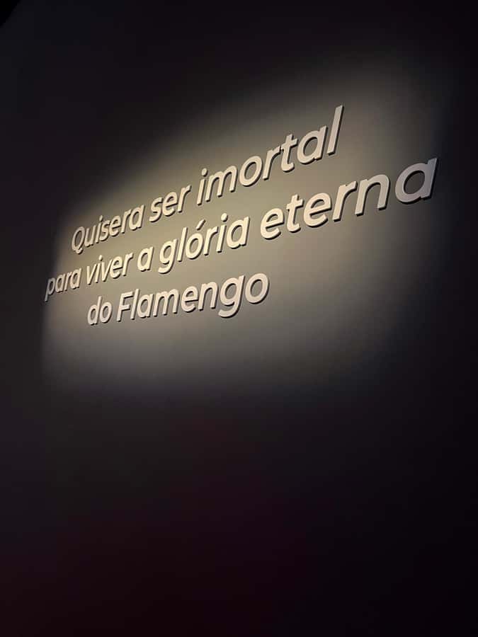Rio de Janeiro: Flamengo Museum Ticket Entrance - Key points at a glance
