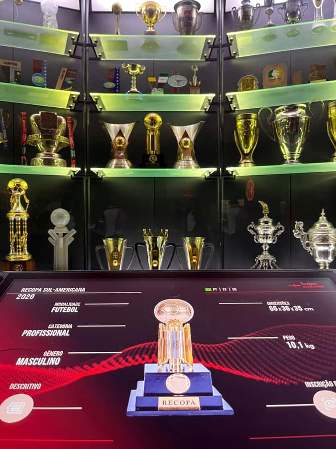Rio de Janeiro: Flamengo Museum Ticket Entrance - Fourteen themed sections with modern displays