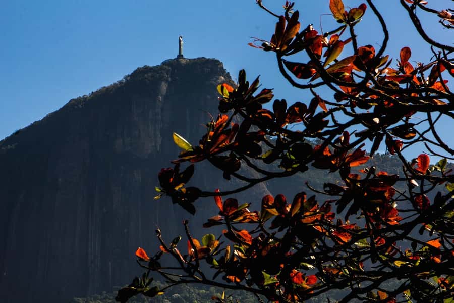 Rio de Janeiro: Guided Bike Tours in Small Groups - Key points to know before booking