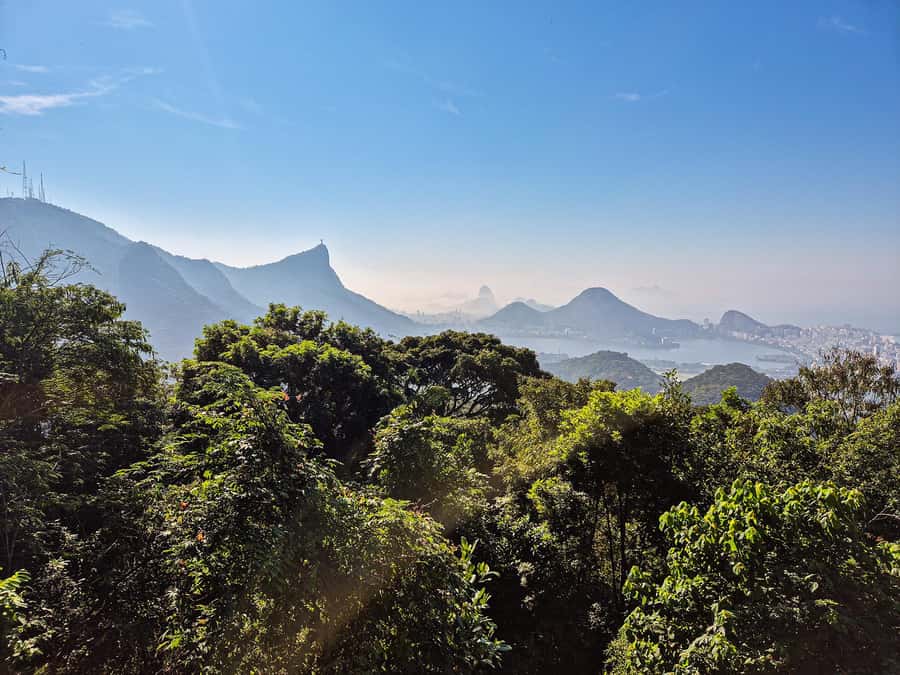 Rio de Janeiro: Guided Jeep Tour through Tijuca Rainforest - The easy forest walk
