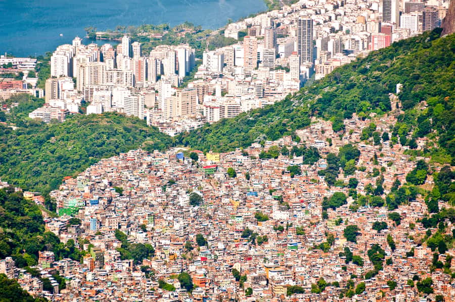 Rio De Janeiro: Half-Day Rocinha Favela Walking Tour - Getting into Rocinha with a local guide