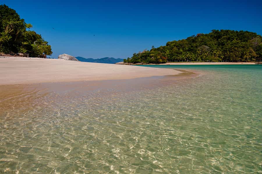Rio de Janeiro: Ilha Grande with Boat Tour & Optional Lunch - Blue Lagoon for fish, corals, and starfish