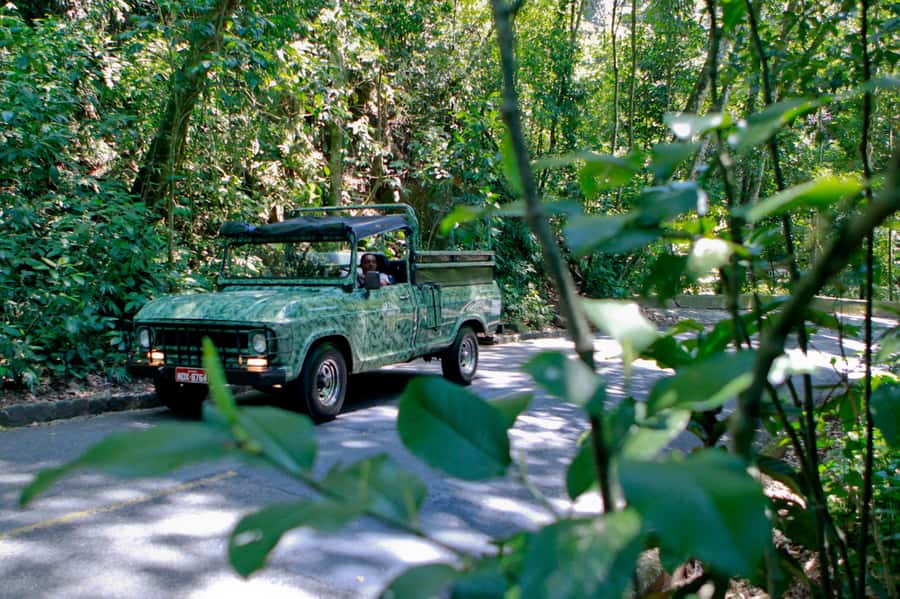 Rio de Janeiro: Jeep Tour in the Tijuca Forest - Leaving Rio’s South Zone for the forest