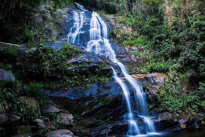 Rio de Janeiro Jeep Tour : Tijuca Forest - Why Tijuca Forest changes your view of Rio